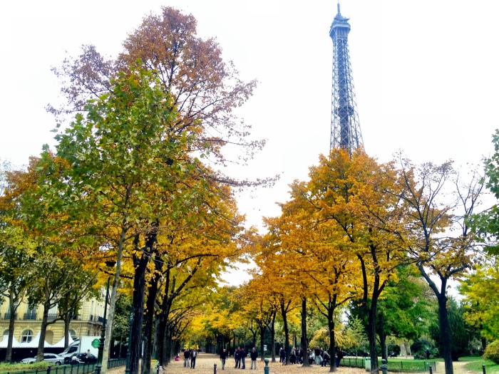 Paris autumn colors